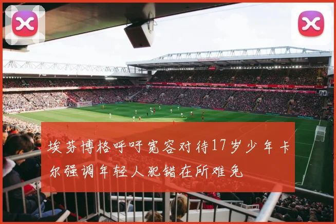 埃芬博格呼吁宽容对待17岁少年卡尔强调年轻人犯错在所难免
